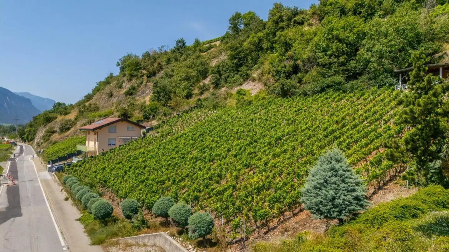 Terreno edificabile in vendita - Rue De Plantassage, 3976 Noës - Foto 2