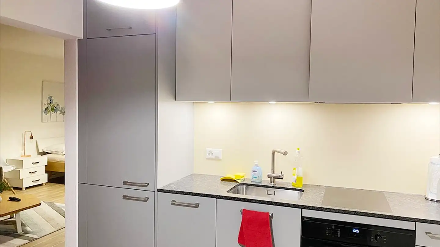 Appartement meublé à louer - Ueberlandstrasse 465, 8051 Zürich - Photo 4