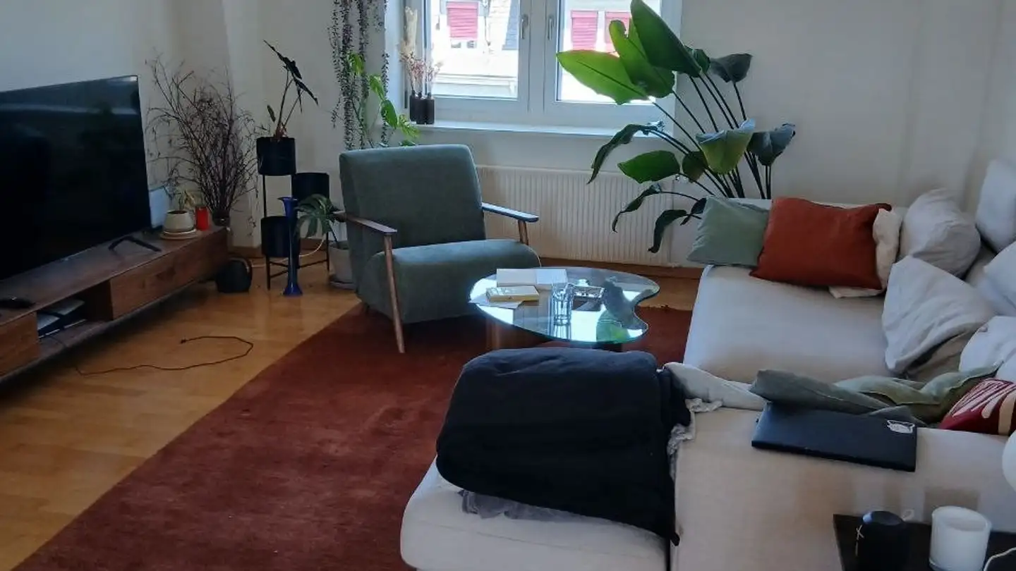 Appartement meublé à louer - Salstrasse 27, 8400 Winterthur