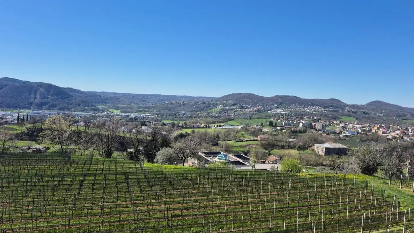 Appartamento in vendita - 6874 Castel San Pietro - Photo 3