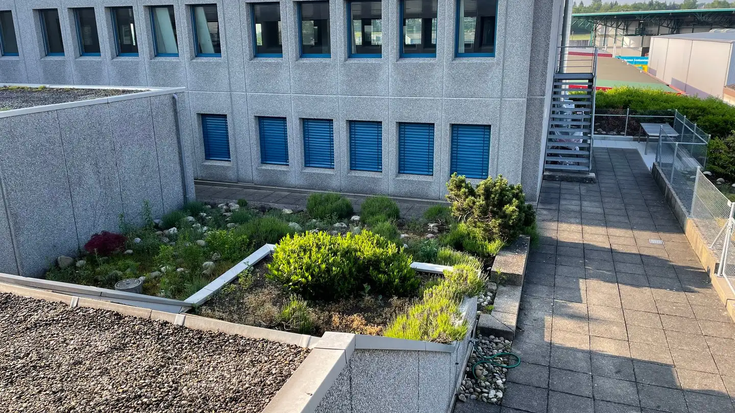 Spazio ufficio in affitto - Riedmattstrasse 9, 8153 Rümlang