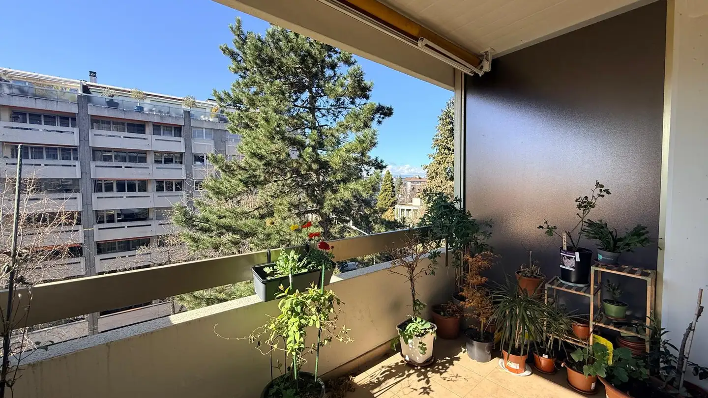 Appartement à louer - 1206 Genève