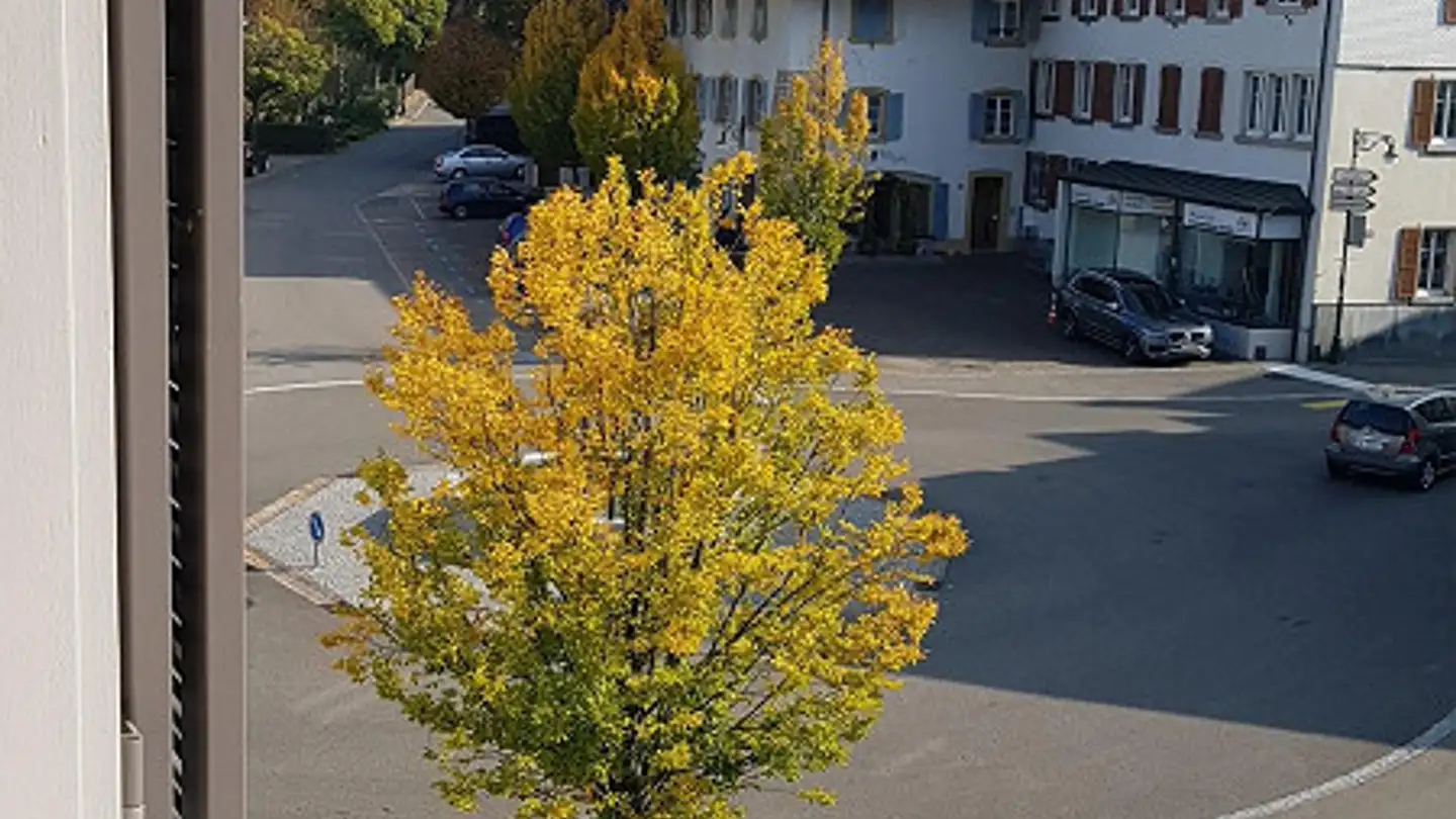 Wohnung mieten - Schmittenackerstrasse 6, 4448 Läufelfingen - Foto 3