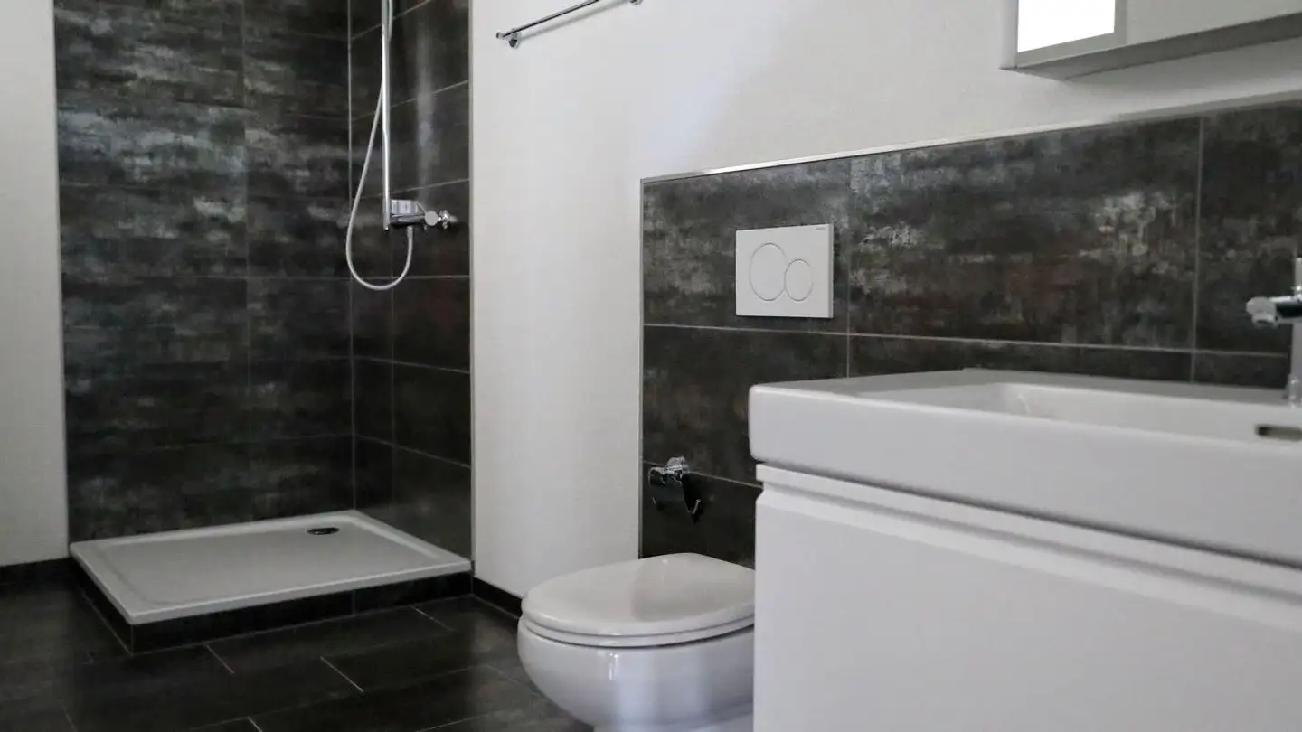 Wohnung mieten - Luzernerstrasse 24, 5712 Beinwil am See - Foto 2