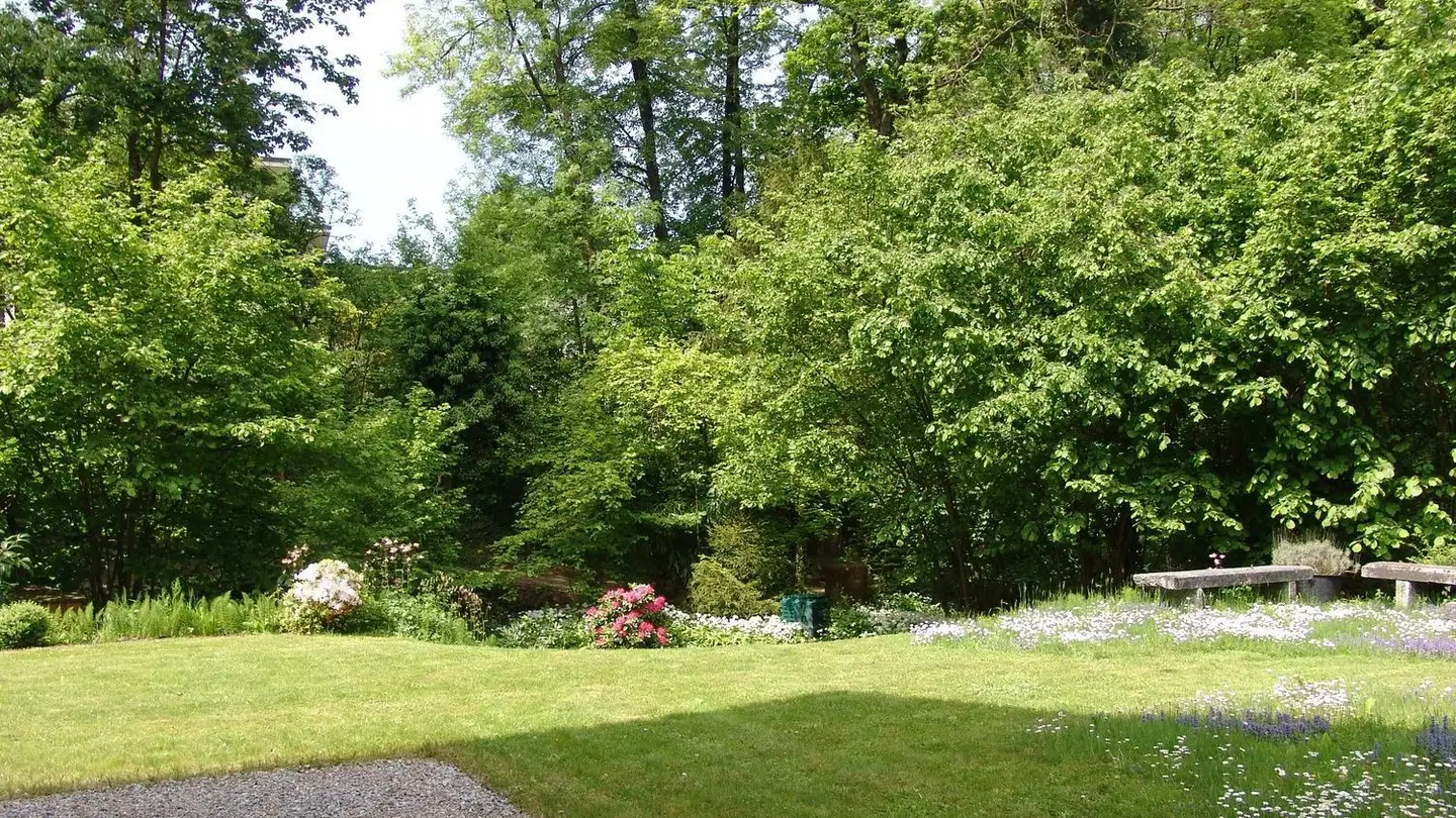 Duplex à louer - Humrigenstrasse 78, 8704 Herrliberg