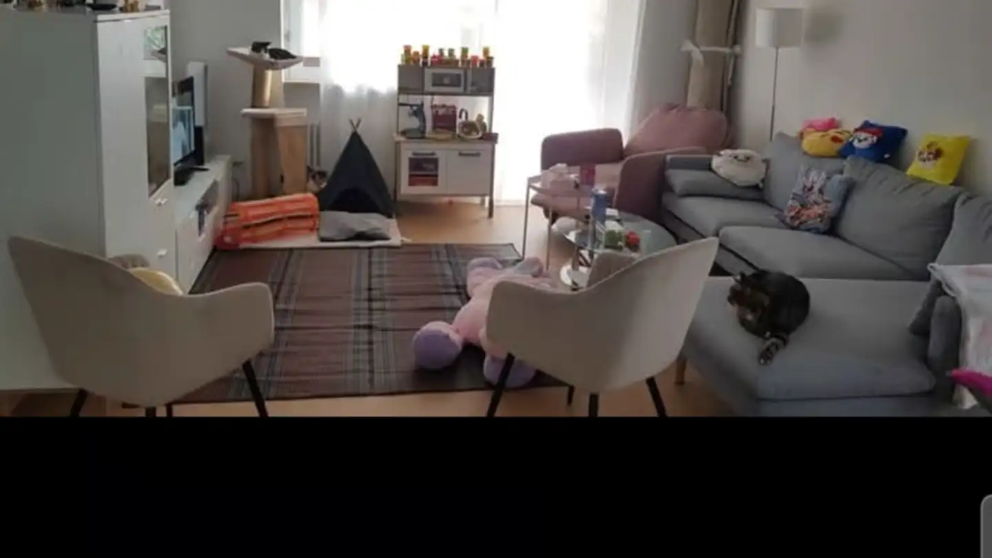 Apartment for rent - Via Alfredo Pioda 33, 6600 Locarno - Photo 4
