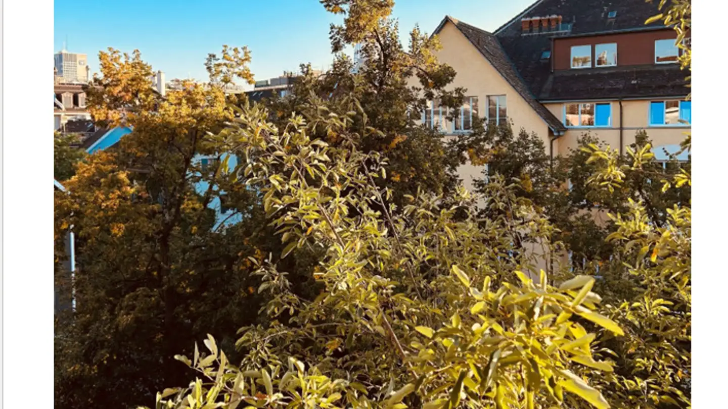 Appartamento ammobiliato in affitto - 8004 Zürich - Foto 2