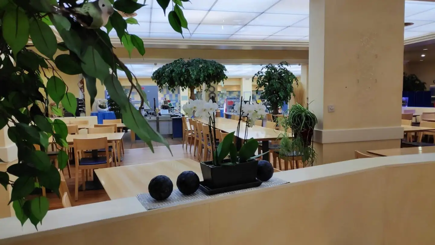 Ristorante in affitto - Althardstrasse 60, 8105 Regensdorf - Photo 4