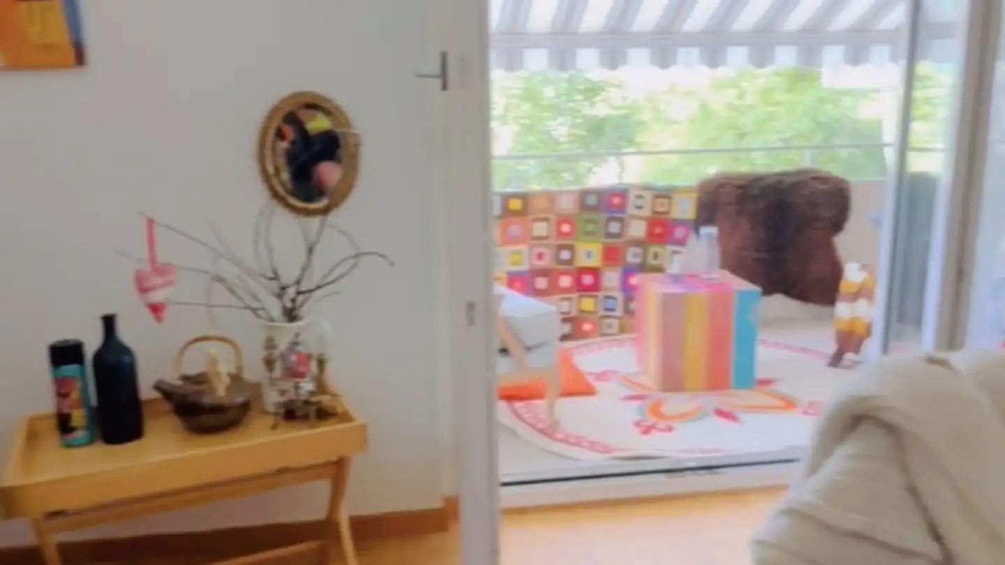 Stanza singola in affitto - 8907 Wettswil - Foto 2