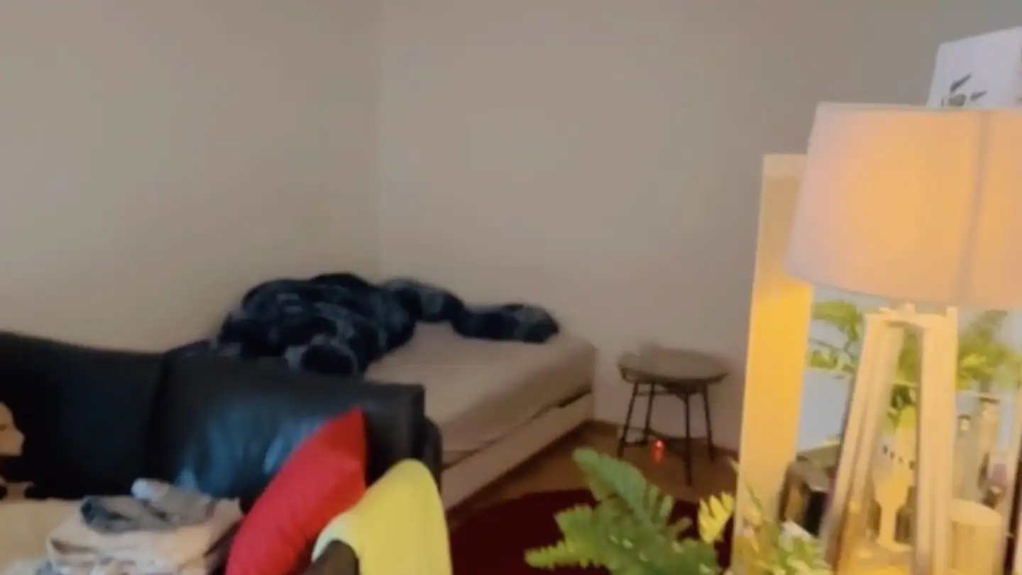 Stanza singola in affitto - 8907 Wettswil - Foto 4