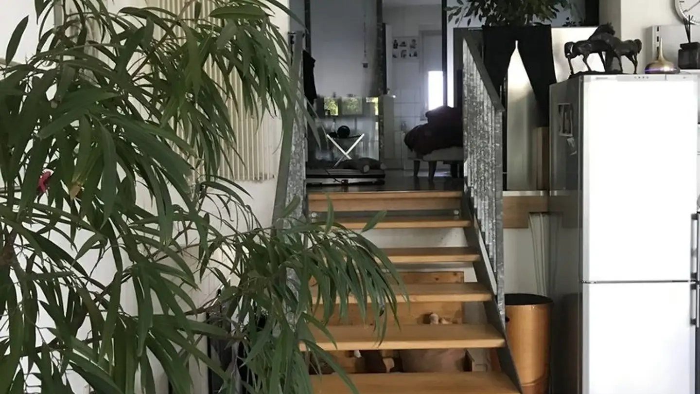 Appartement à louer - Wallenbachstrasse 30, 8623 Wetzikon ZH - Photo 2