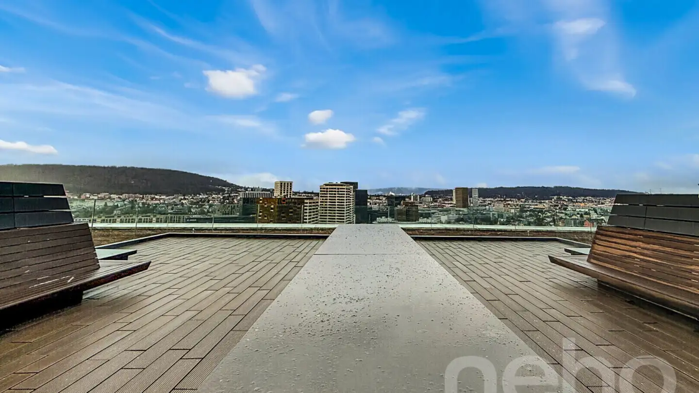 Appartement à vendre - Schärenmoosstrasse 76, 8052 Zürich - Photo 3