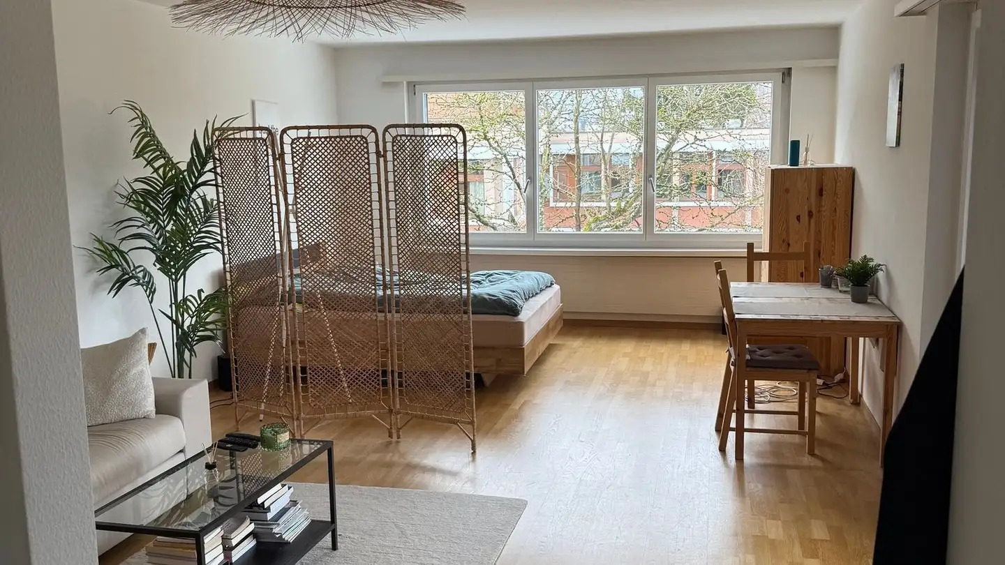 Appartamento a gradini in affitto - Freiestrasse 4, 8952 Schlieren - Foto 2