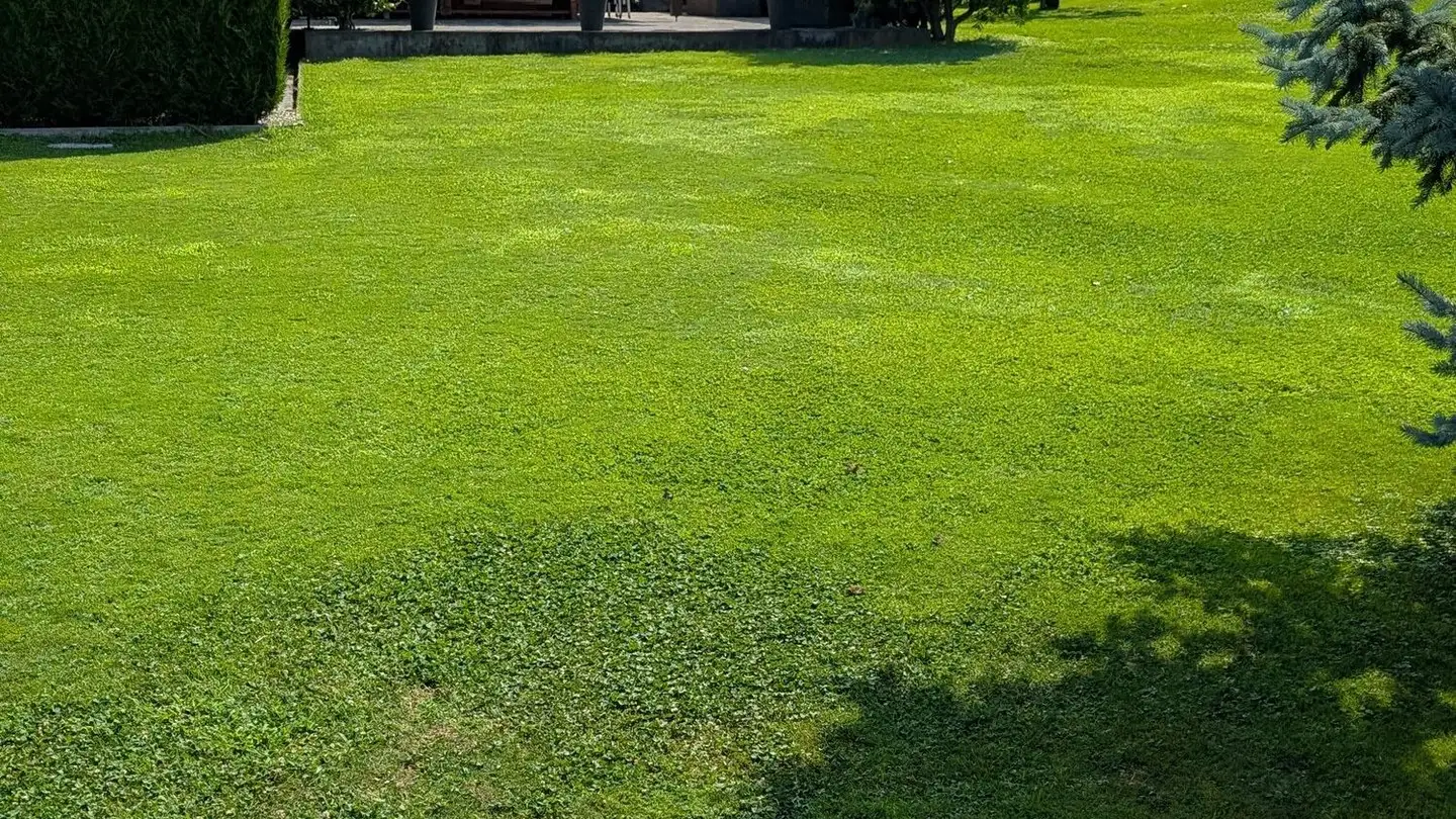 Casa singola in vendita - 6817 Maroggia - Photo 4