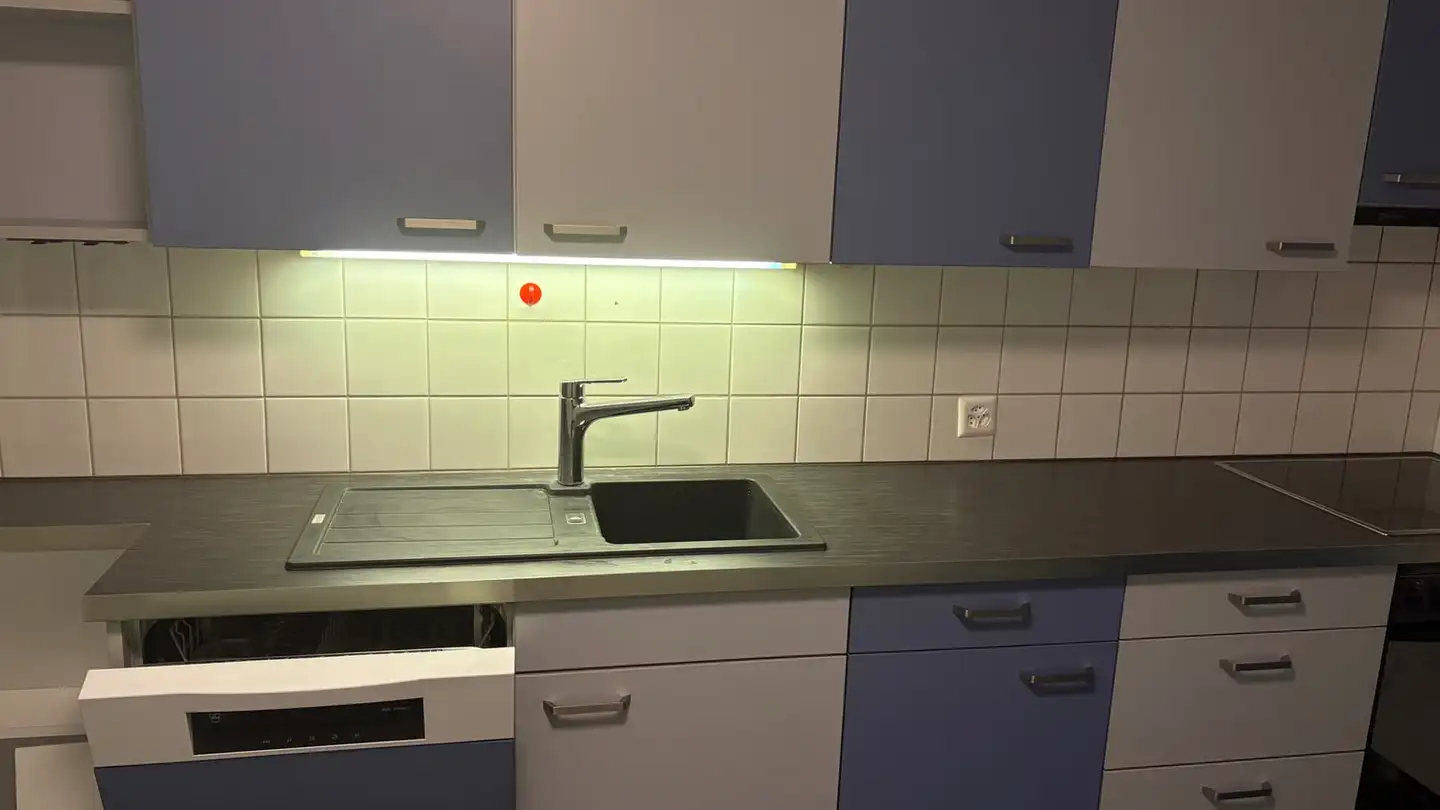 Appartamento in affitto - Luzernstrasse, 6014 Luzern - Foto 3