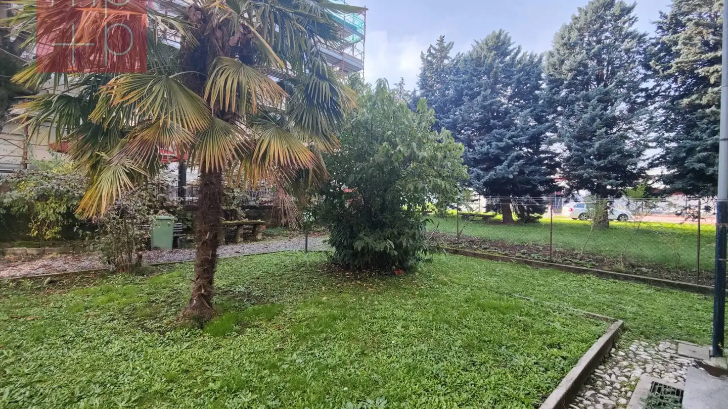 Edificio residenziale in vendita - 6830 Chiasso - Foto 2