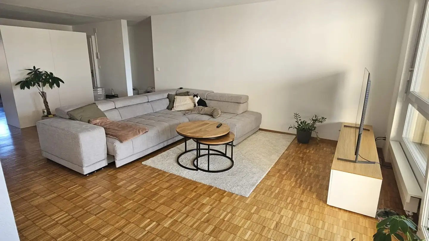 Apartment for rent - Burgstrasse 3, 8604 Volketswil