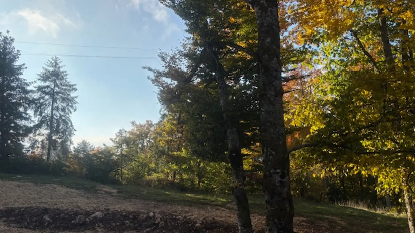 Appartamento in affitto - Route D'arzier 38, 1264 St-Cergue - Photo 3