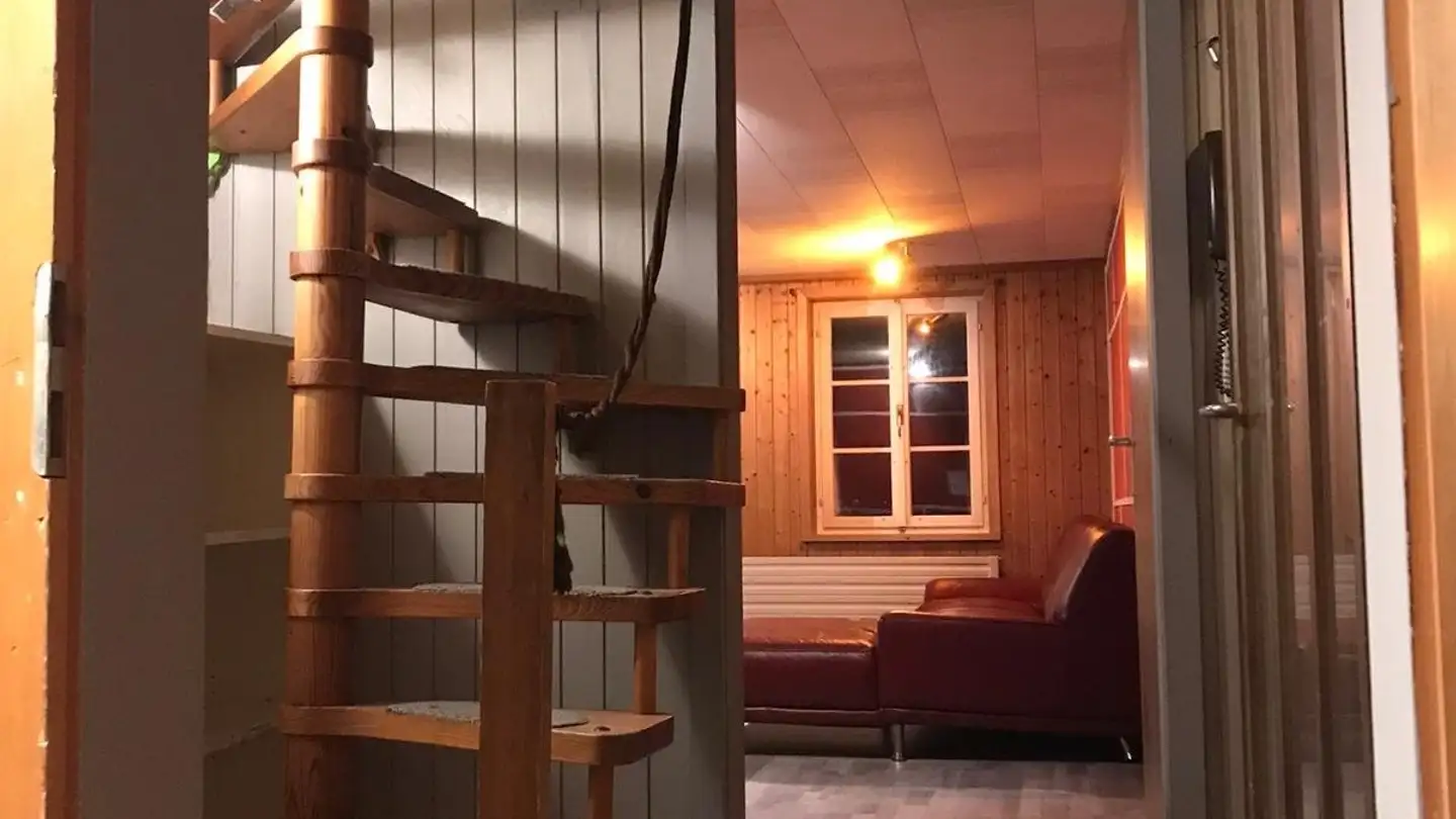 Appartement à louer - Eisenbolgenstrasse 43, 3860 Meiringen - Photo 3