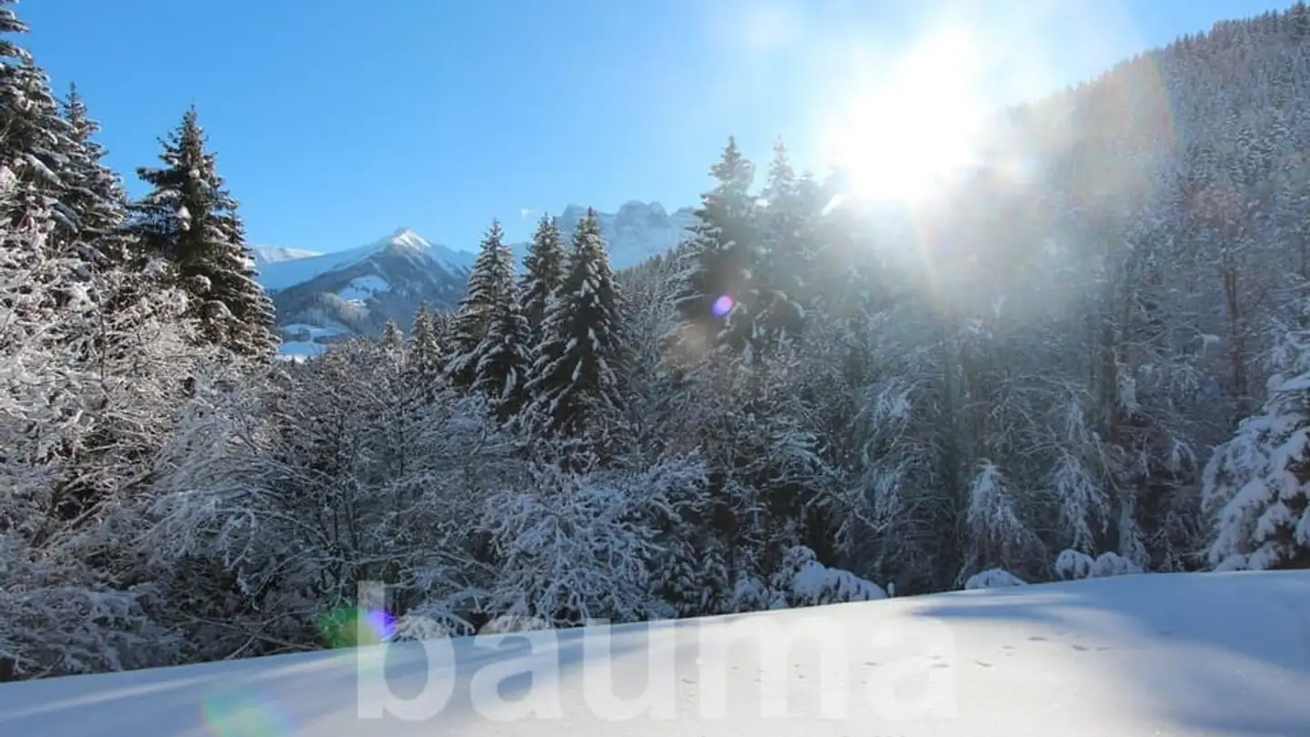 Einfamilienhaus kaufen - 1875 Morgins - Foto 4