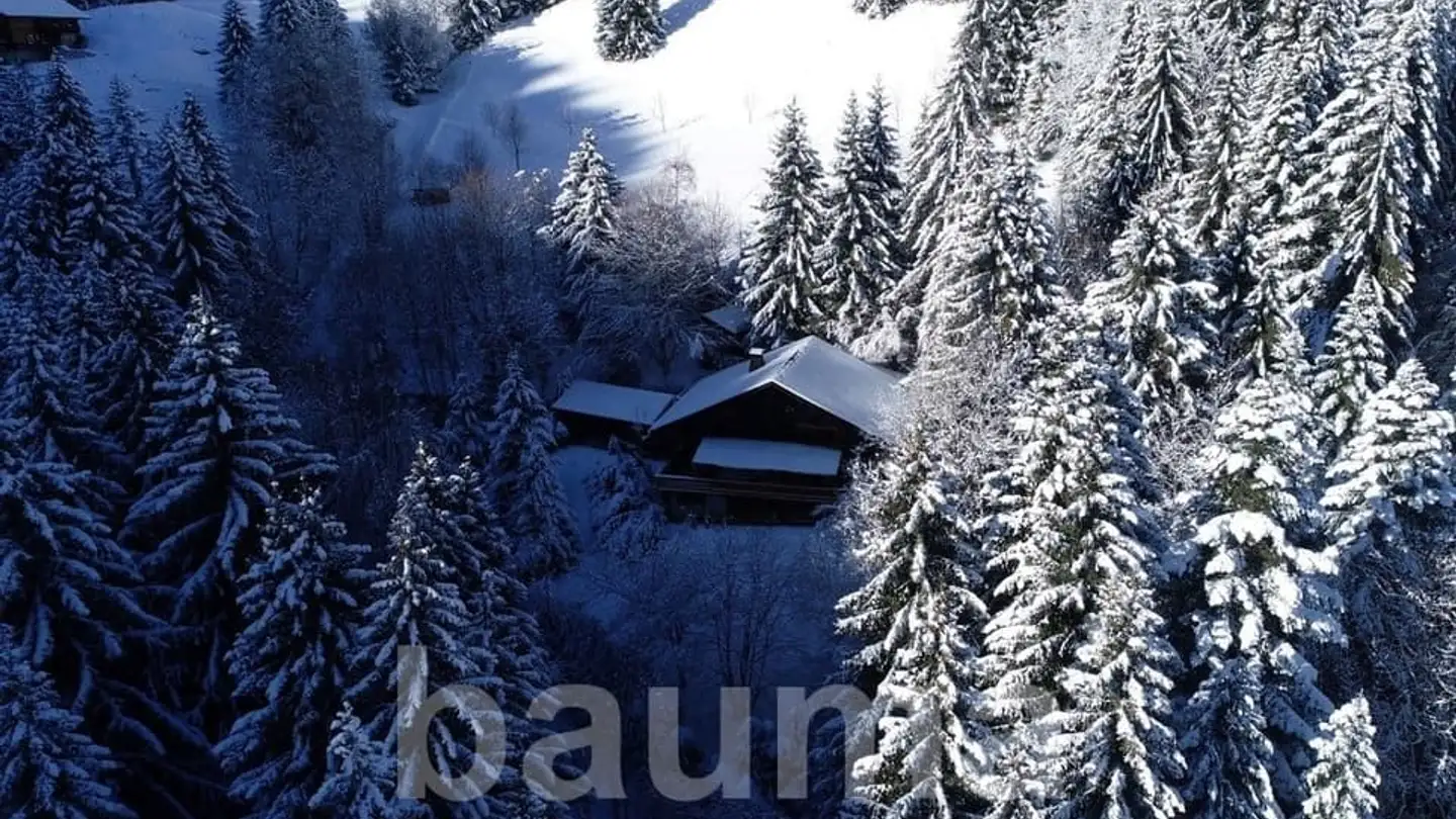 Einfamilienhaus kaufen - 1875 Morgins - Foto 2