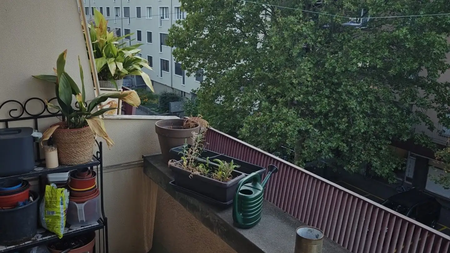 Appartement à louer - 8045 Zürich - Photo 4