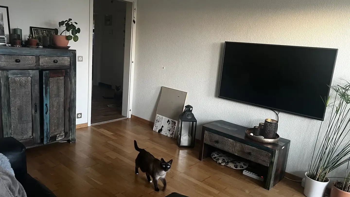 Furnished apartment for rent - 3053 Münchenbuchsee