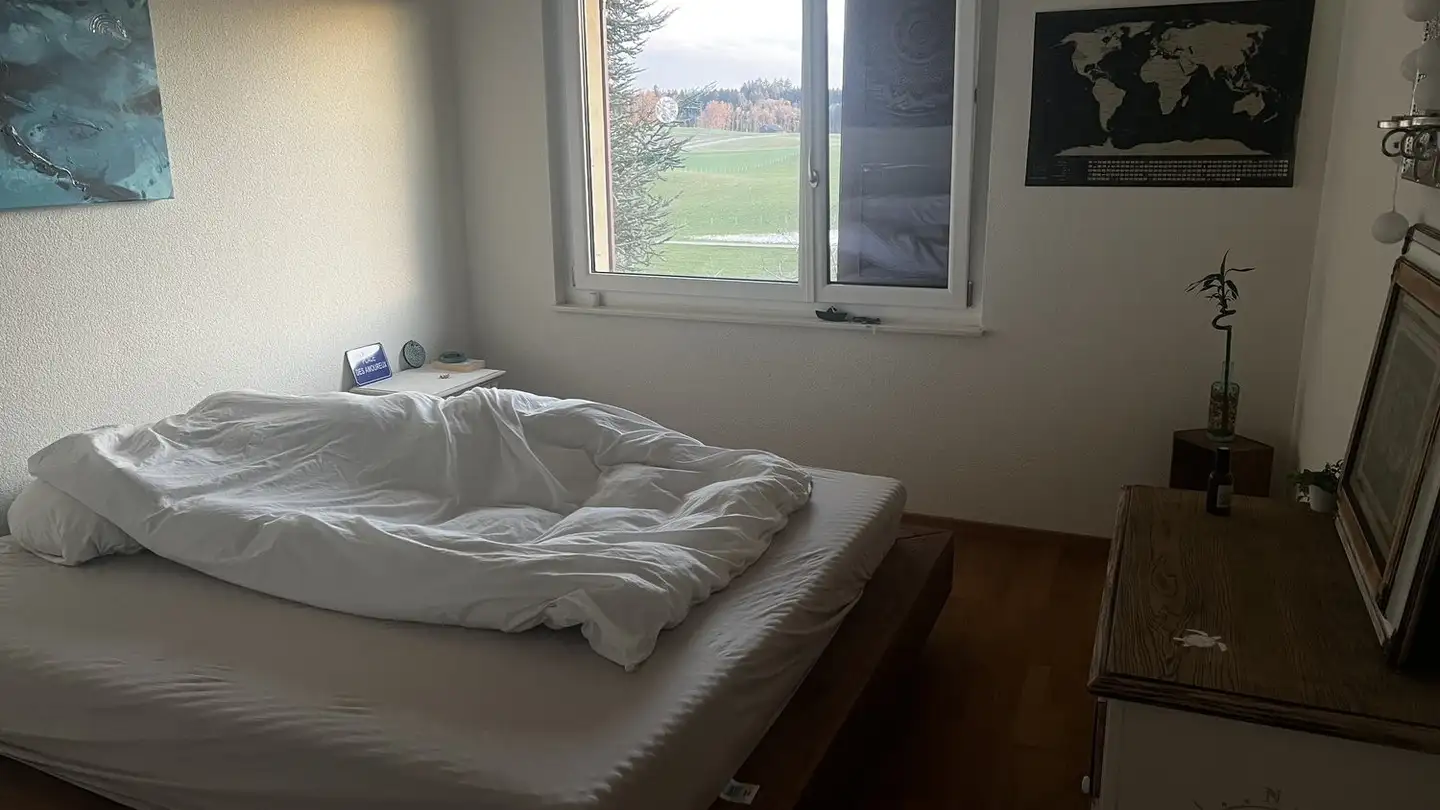 Furnished apartment for rent - 3053 Münchenbuchsee - Photo 4