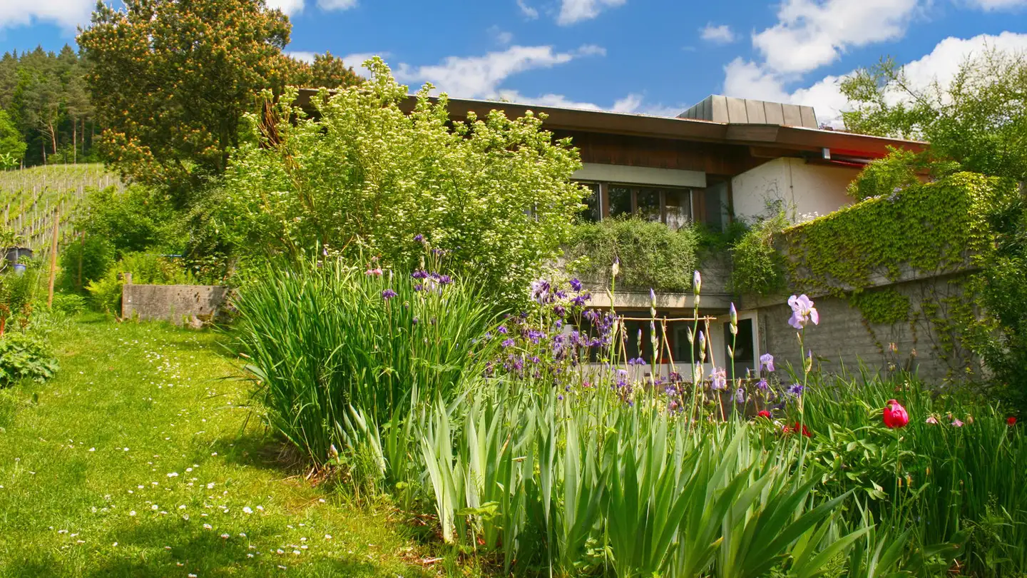 Single house for sale - Heerenweg 8, 8476 Unterstammheim - Photo 3