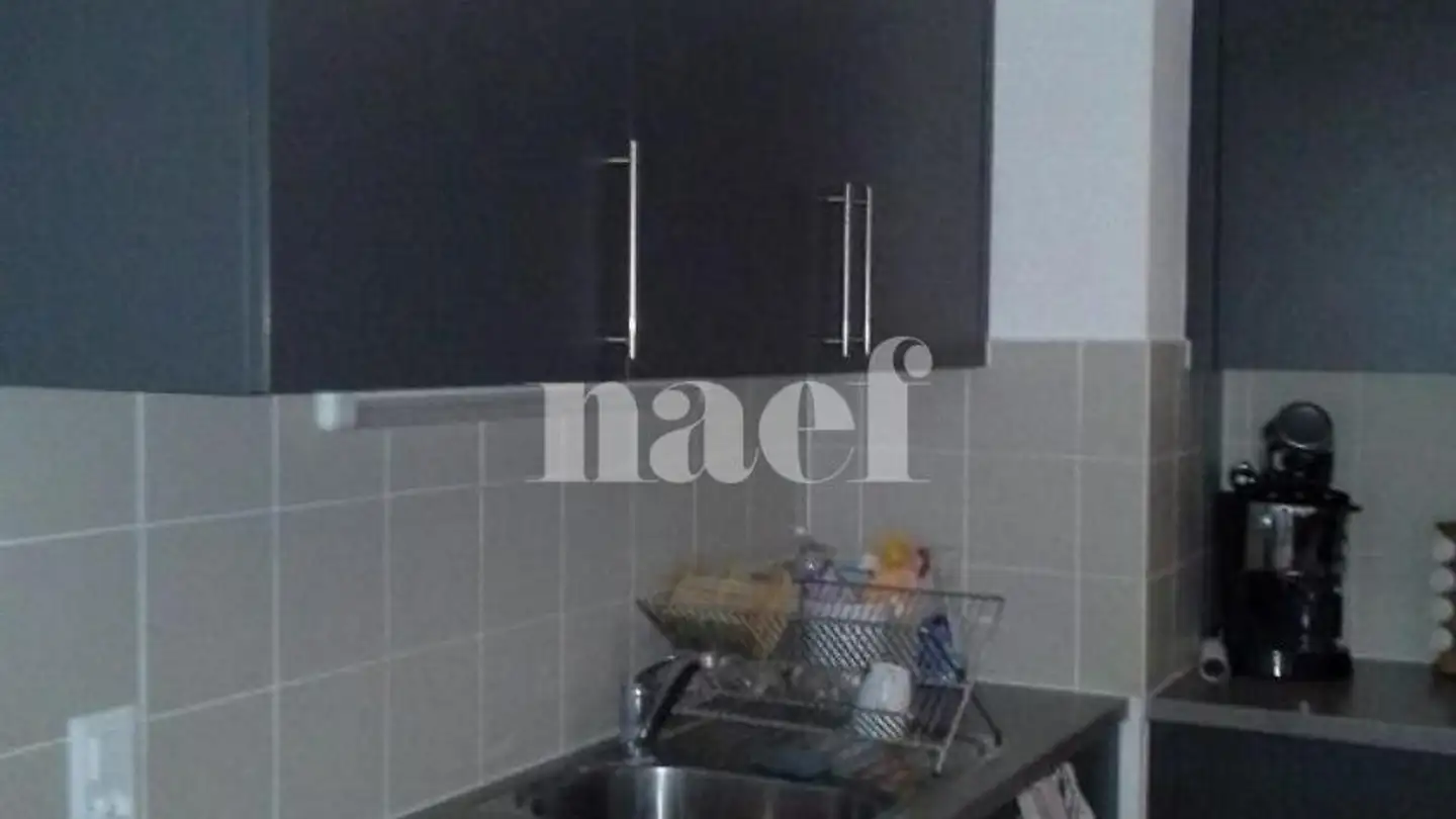 Appartamento in affitto - Chemin De Champ-Joly 6, 1228 Plan-les-Ouates - Foto 2