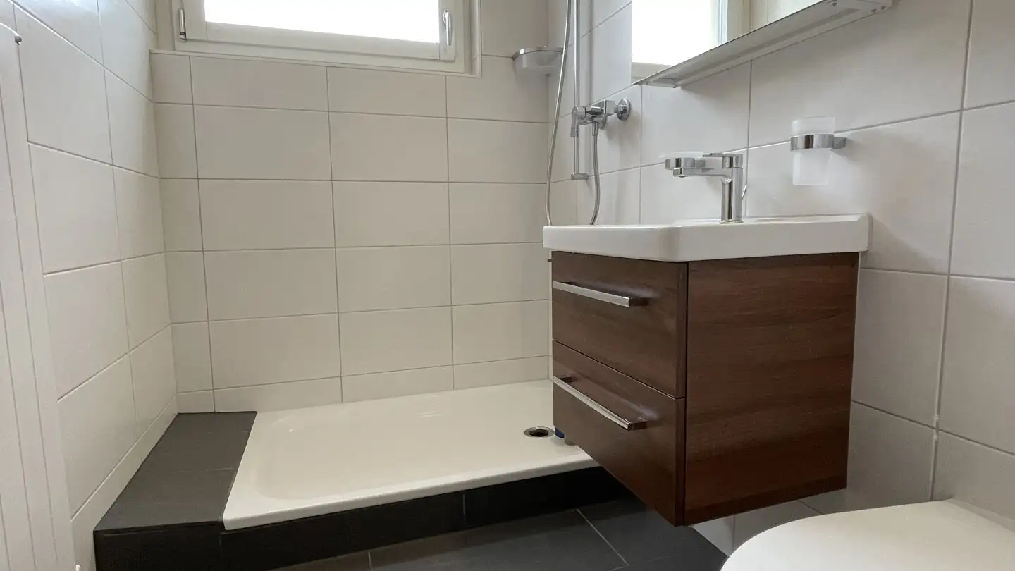 Apartment for rent - Baltenschwilerstrasse 19, 8962 Bergdietikon - Photo 4