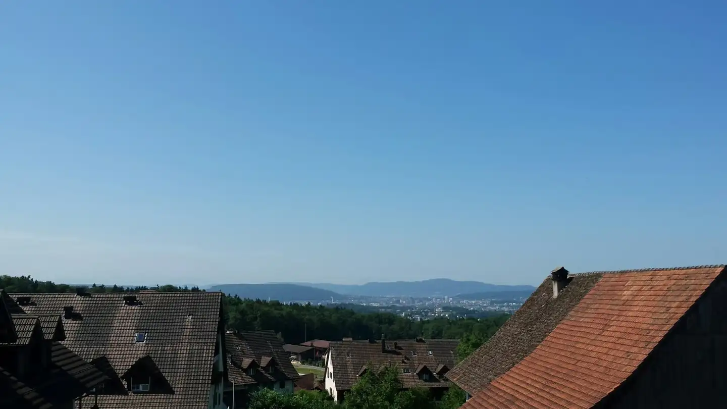 Duplex in affitto - Grosszelgstrasse 12, 8426 Lufingen