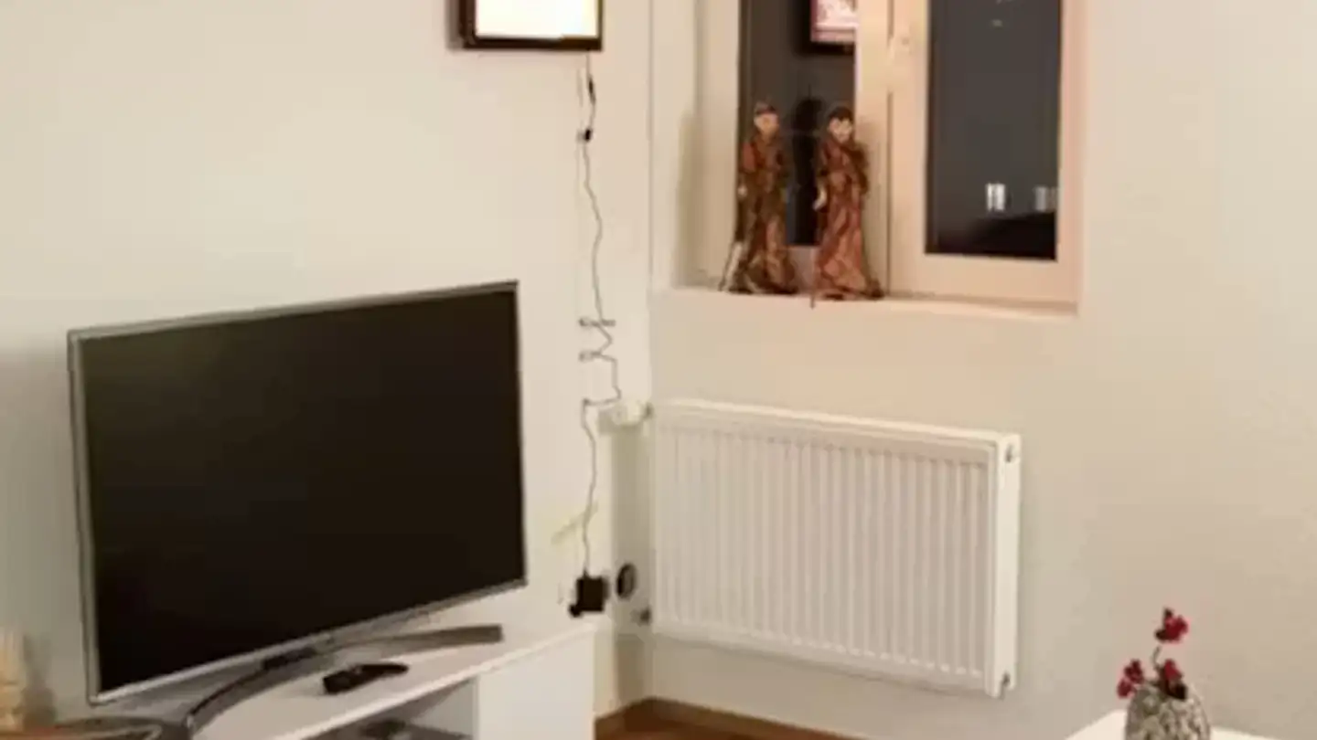 Appartement à louer - Altbergstrasse, 8953 Dietikon - Photo 4