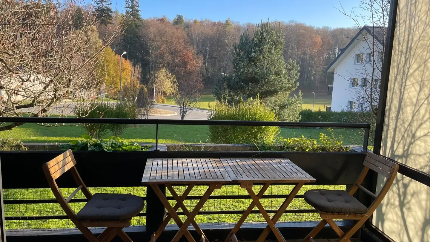 Appartement à louer - Le Grand-Chemin 53, 1066 Epalinges