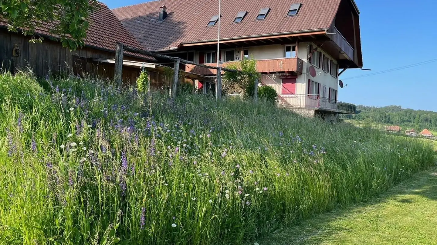 Appartement à louer - Breite 101, 3204 Rosshäusern