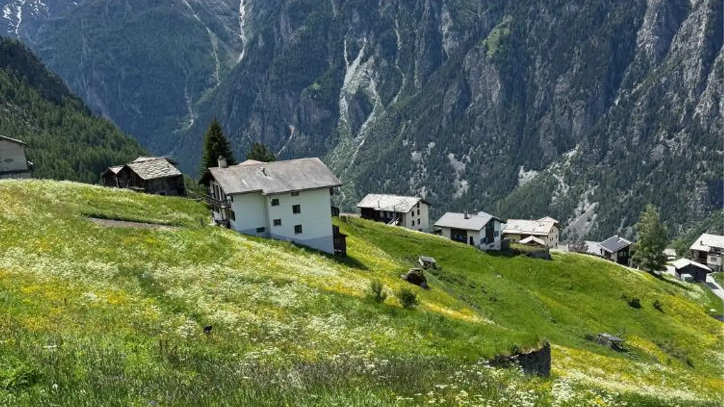 Constructible plot for sale - 3924 St. Niklaus VS