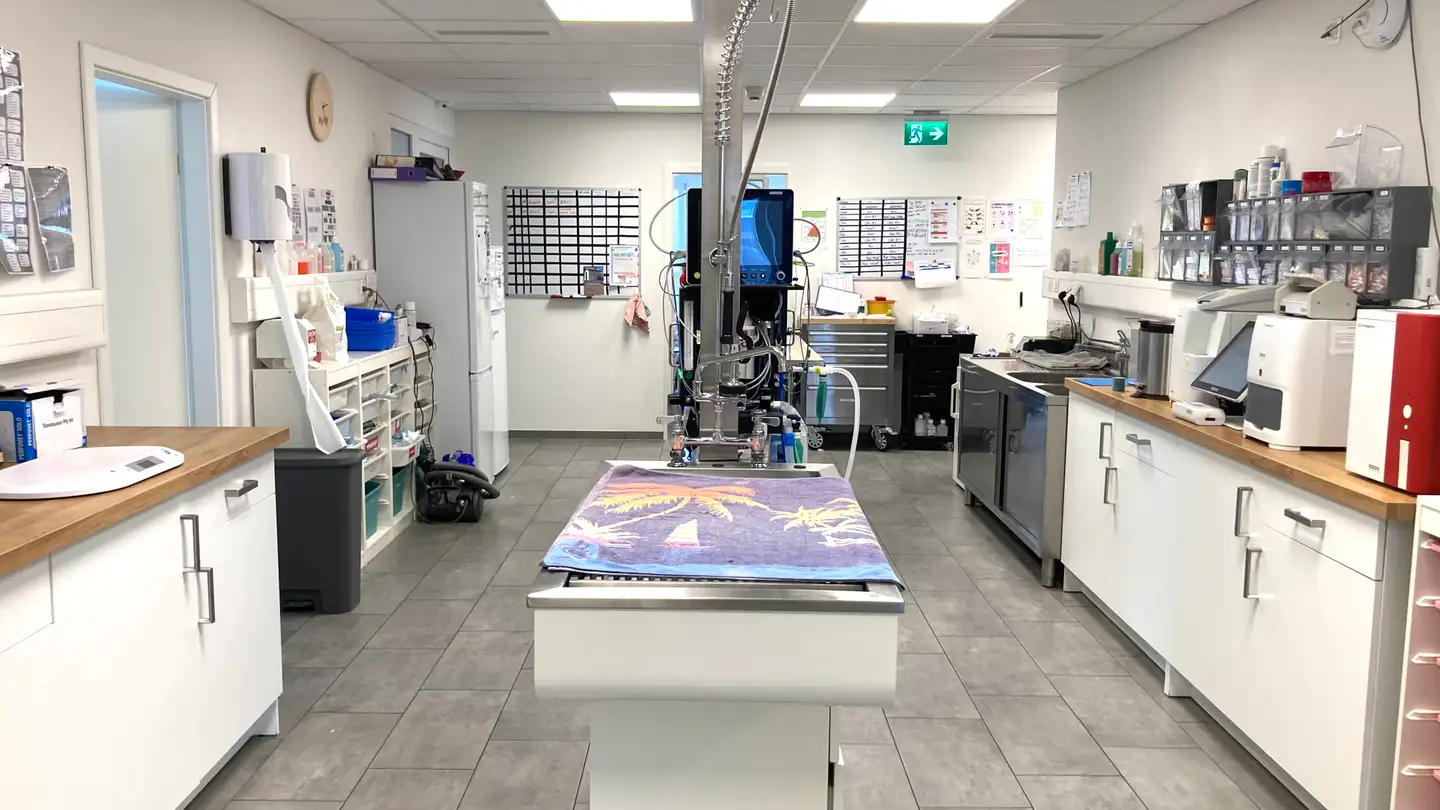 Mischgenutztes Gebäude kaufen - 1860 Aigle