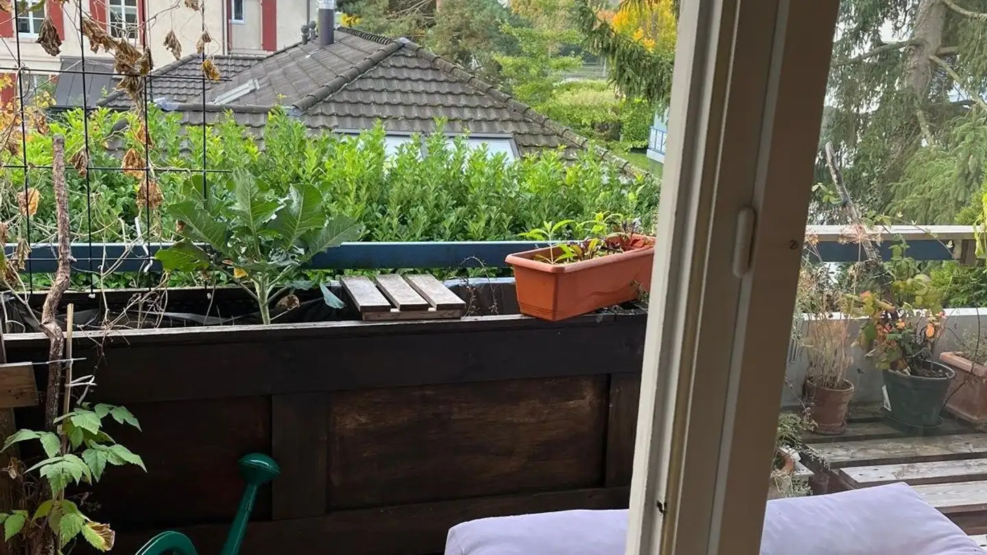 Appartamento in affitto - Ochsengartenstrasse 3, 8274 Tägerwilen