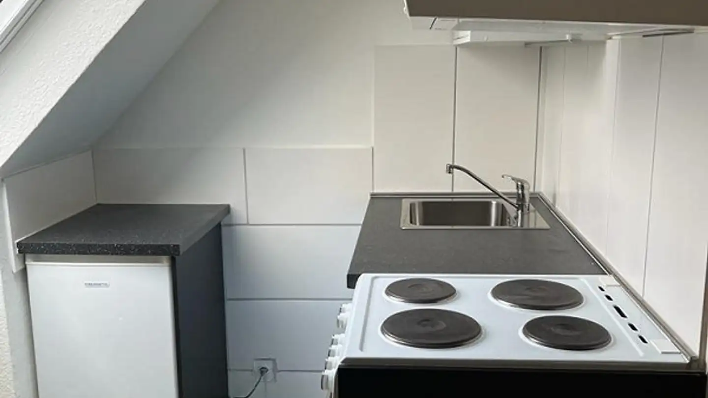 Appartement meublé à louer - Triemlistrasse 145, 8047 Zürich - Photo 4