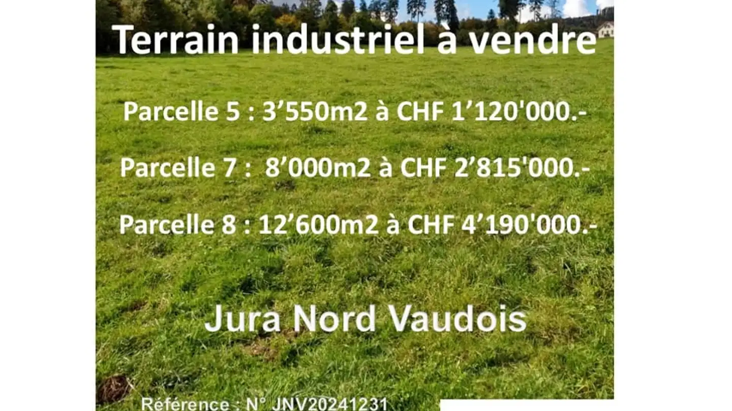 Terreno edificabile in vendita - 1323 Romainmôtier - Foto 2