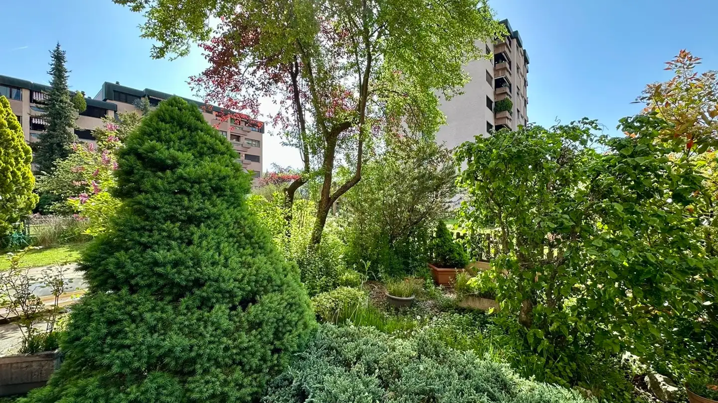 Appartamento in vendita - Rue Des Lilas 12, 2800 Delémont - Photo 4