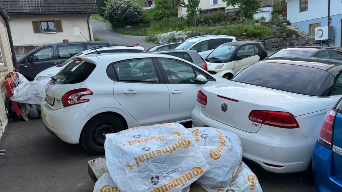 Commerciale in vendita - Häglisrainstrasse, 5725 Leutwil - Foto 3