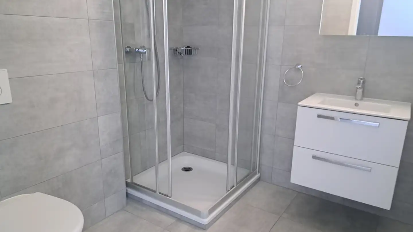 Appartement à louer - Chemin Des Asses 16, 1618 Châtel-St-Denis - Photo 4