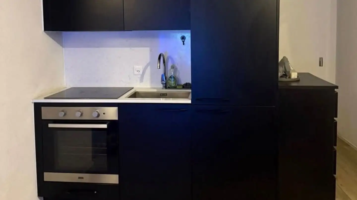 Apartment for rent - Chemin Louis-Boissonnet 84, 1010 Lausanne - Photo 3