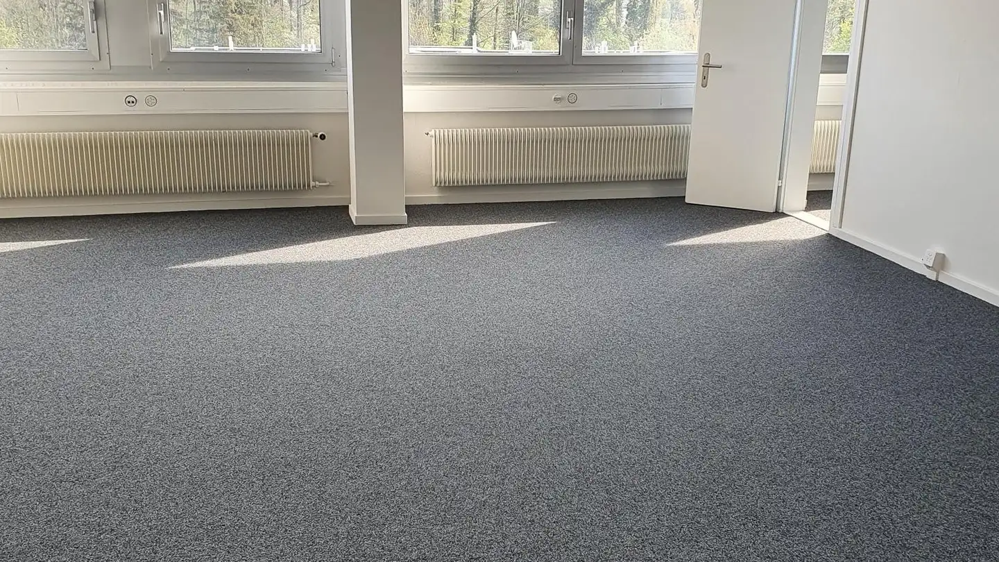 Commercial for rent - Althardstrasse 160, 8105 Regensdorf - Photo 3