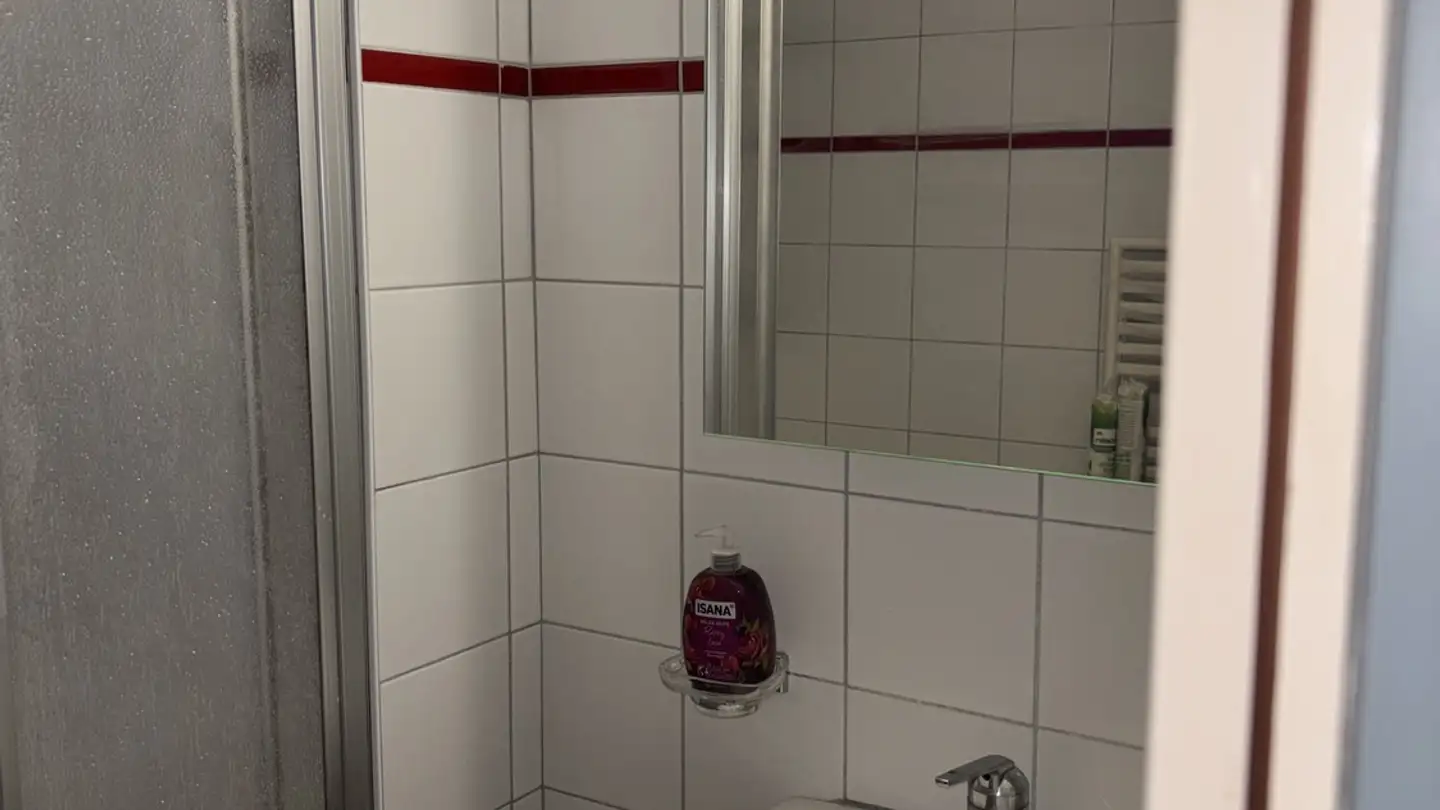 Wohnung mieten - Käpfnerweg 13, 8810 Horgen - Foto 4