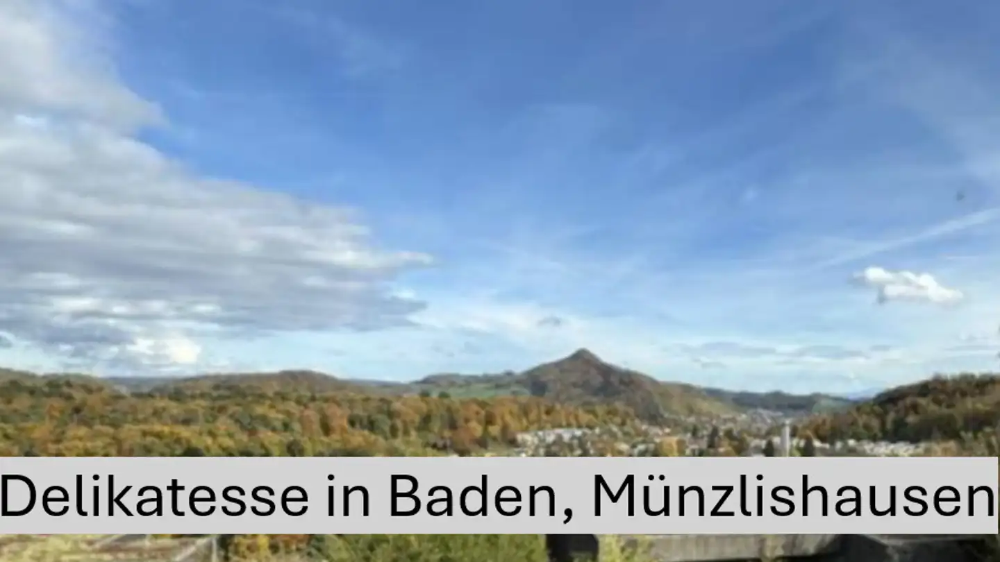 Villa in vendita - 5400 Baden