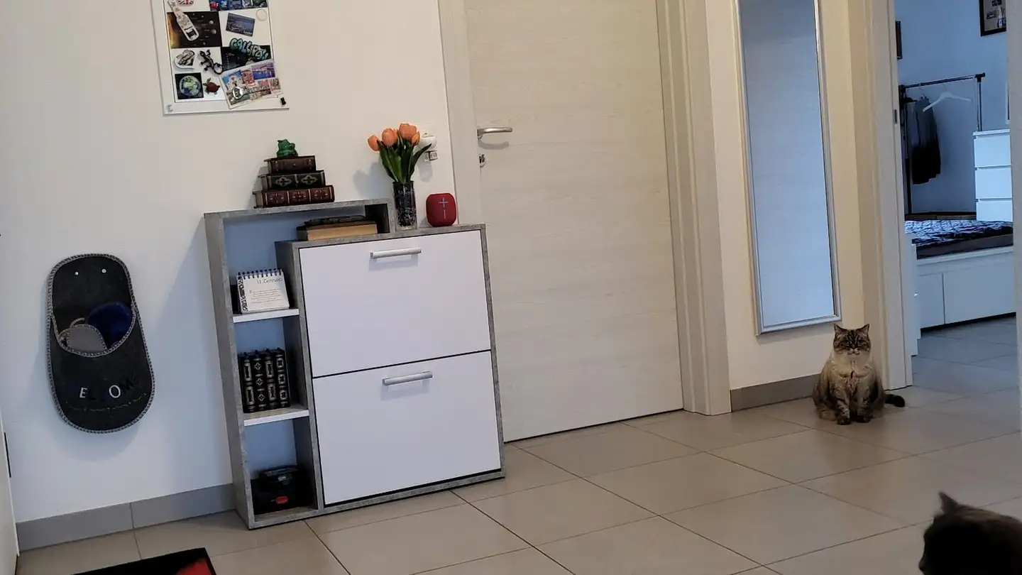 Appartamento in affitto - Via Prati Grandi 2, 6518 Gorduno - Photo 3