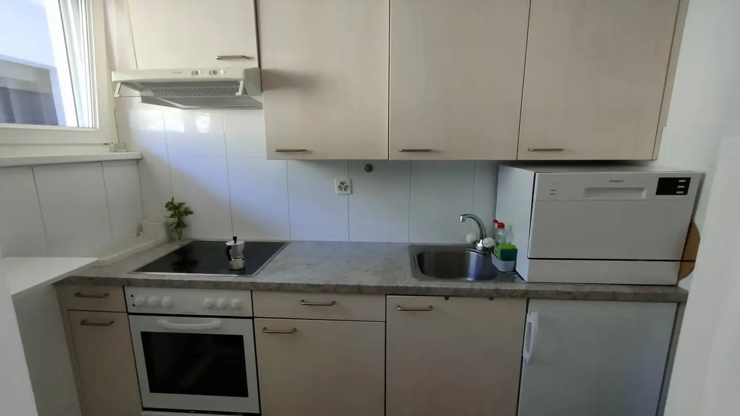 Appartamento in affitto - Via San Gottardo 146, 6648 Minusio - Photo 2