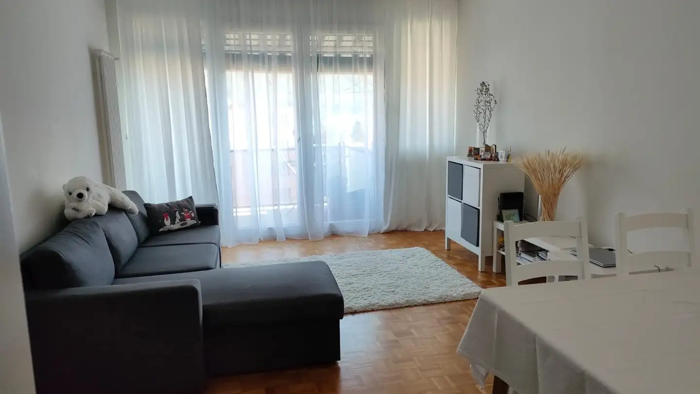 Appartamento in affitto - Via San Gottardo 146, 6648 Minusio - Photo 3